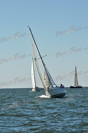 2010 Leukemia Cup 304