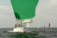 2013 Vineyard Race A 425