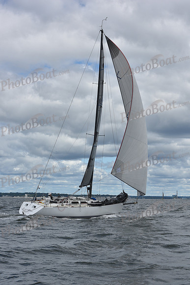 2021 Vineyard Race A 0793