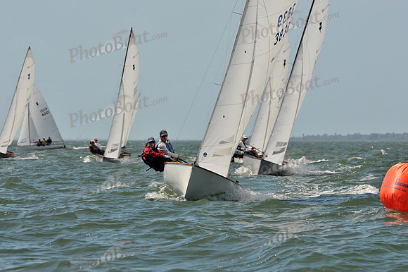 2012 Thistle Midwinters B 1118