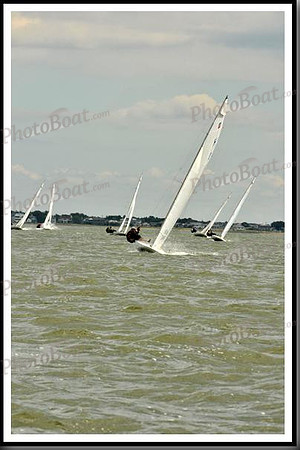 proof_2010_EScows_B 785