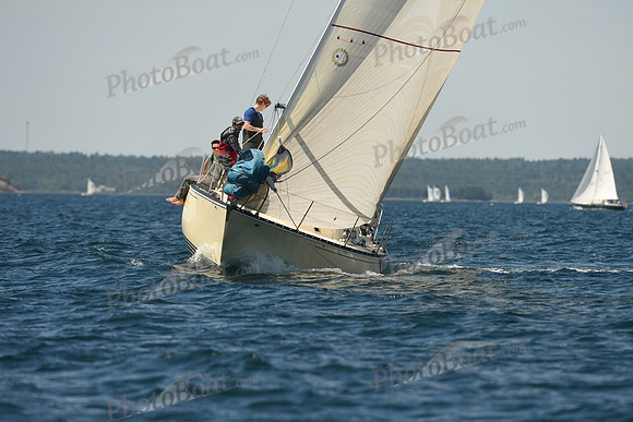 2016 Chester Race Week A_0513