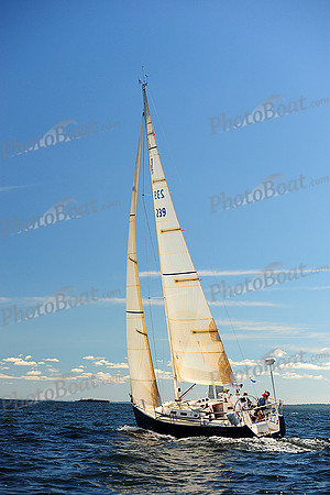 2014 Vineyard Race A 431