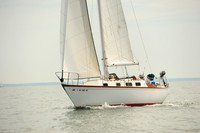 2014 Cape Charles Cup B 527