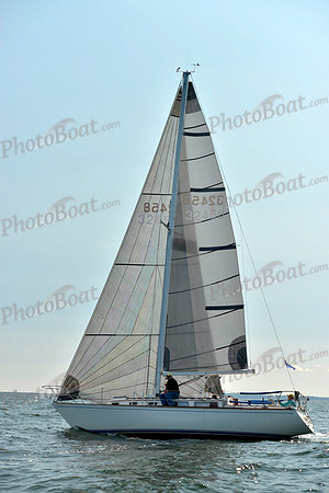2017 Stamford Denmark Race_0220