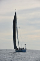 2019 Around Marthas Vineyard A_0247