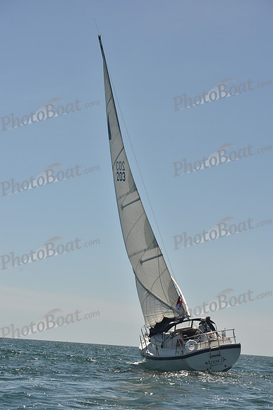 2024 Figawi 0083