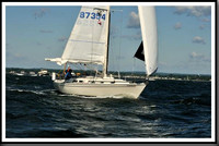 proof_2010_Vineyard_Race_0166