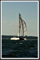 proof_2010_Vineyard_Race_1780