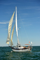 2015 Cape Charles Cup A 1442