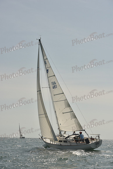 2018 Vineyard Cup A_0472