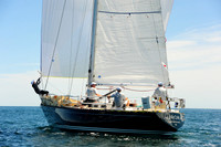 2014 Newport Bermuda A 273