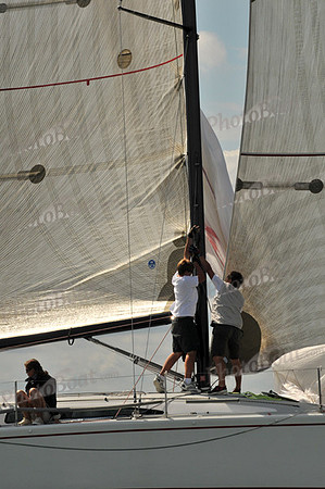 2010 IRC LIS 393