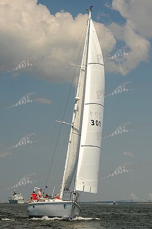 2014 Charleston Race Week A 239