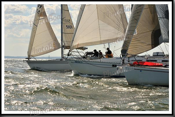 proof_2010_Vineyard_Race_1052