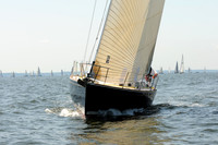 2011 Vineyard Race A 271