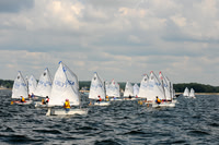 2011 Opti Area C 079