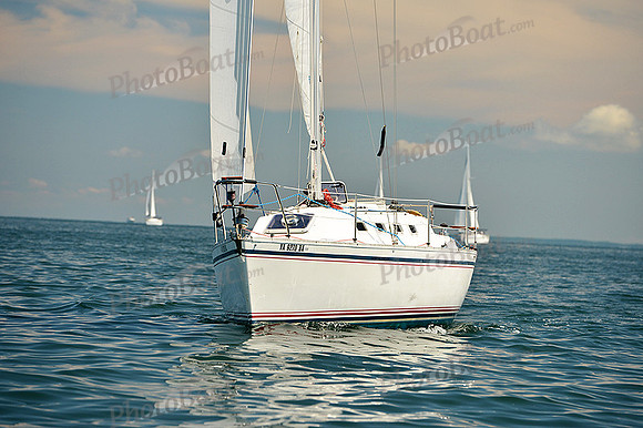 2015 Cape Charles Cup C 364