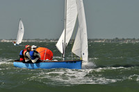 2012 Thistle Midwinters B 624
