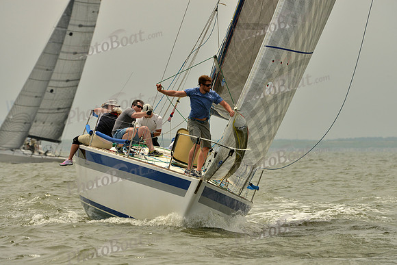 2016 Southern Bay Race Week A_0780