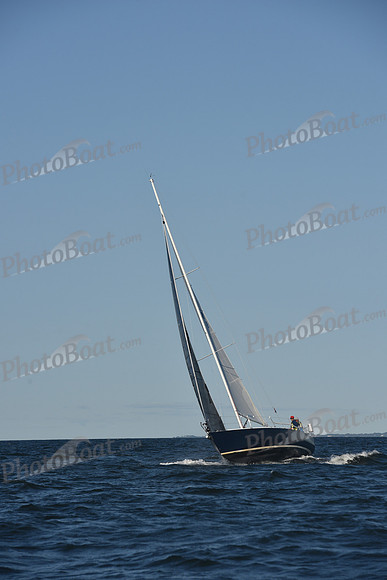 2021 Vineyard Race B 2796