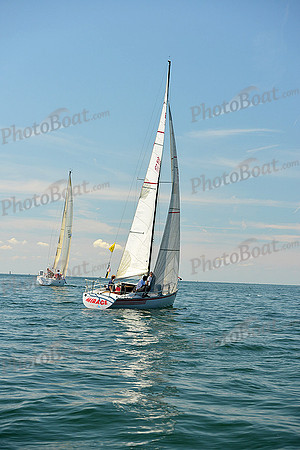 2015 Cape Charles Cup C 817