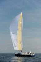 2013 Vineyard Race A 1858