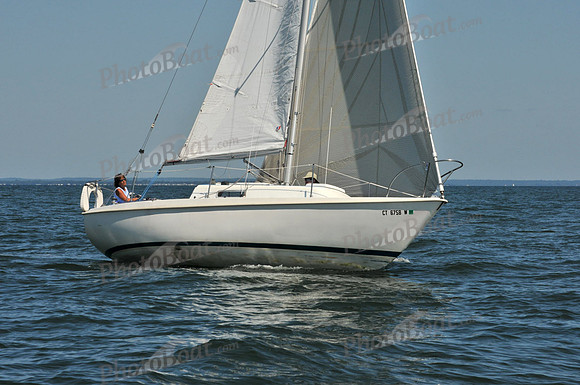 2010 Leukemia Cup B 390