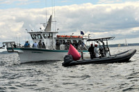 2010 IRC LIS 519