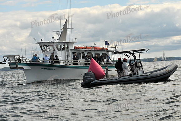 2010 IRC LIS 519