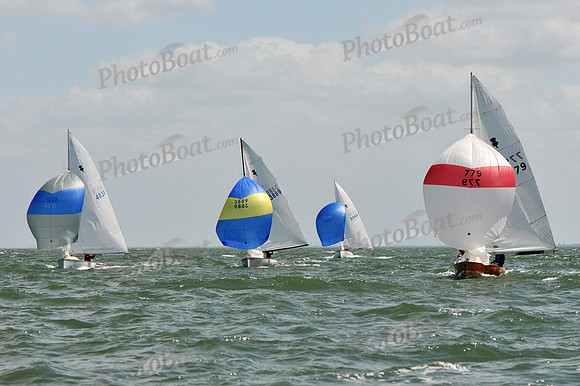2012 Thistle MidWinters B 1290
