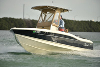 2019 Feb 10 Tampa Bay A_0940