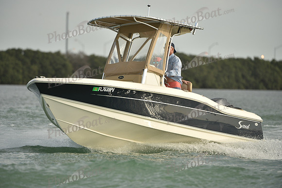 2019 Feb 10 Tampa Bay A_0940