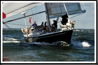 proof_2010_Vineyard_Race_0511