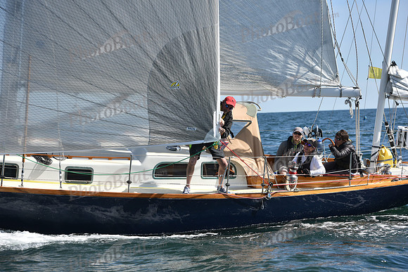 2019 Marblehead to Halifax A_2117