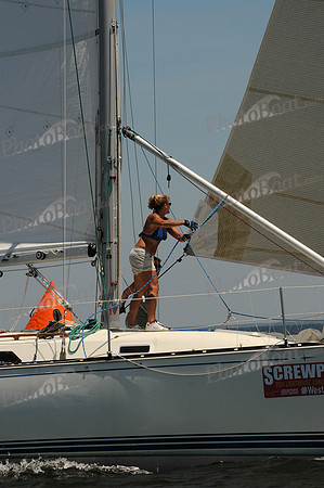 2011 Screwpile C 629