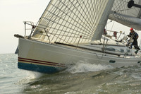 2015 Vineyard Race A 938