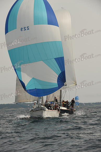 2016 Chester Race Week C_1529