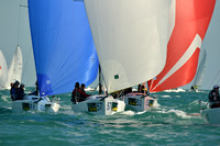 2014 Key West Race Week D 1264