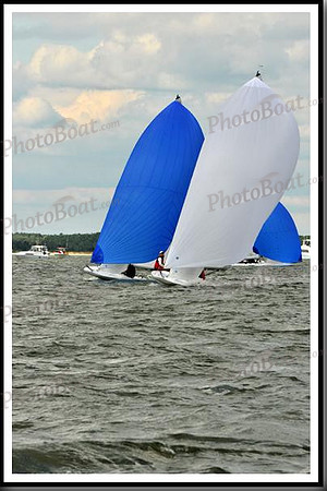 proof_2010_EScows_B 468