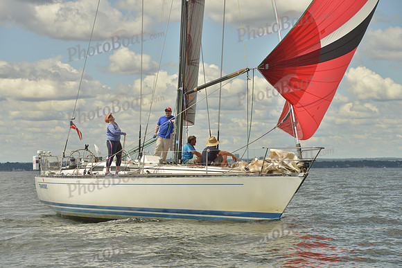 2016 Vineyard Race A_1088