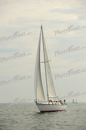 2014 Cape Charles Cup B 526