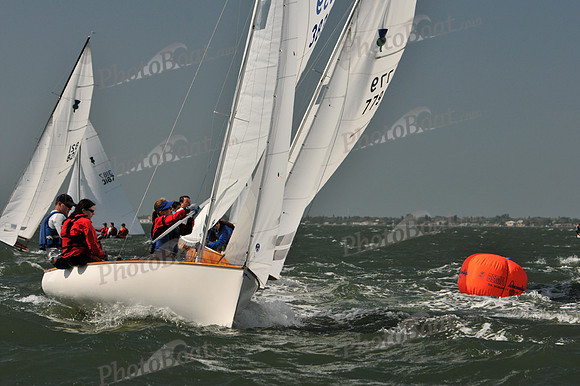 2012 Thistle Midwinters B 568