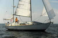 2013 Vineyard Race A 1868