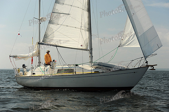 2013 Vineyard Race A 1868