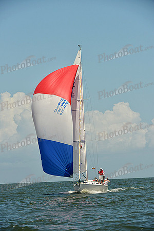 2015 Southern Bay Race Week D 411