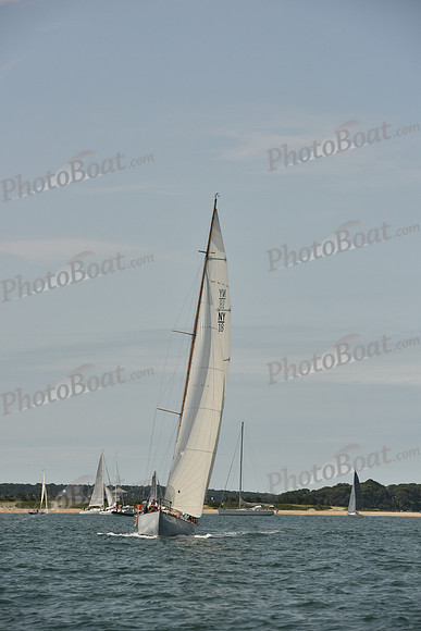 2018 Vineyard Cup A_0013