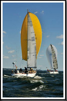 proof_2010_Vineyard_Race_0481