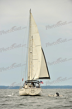 2017 Vineyard Race B_0291