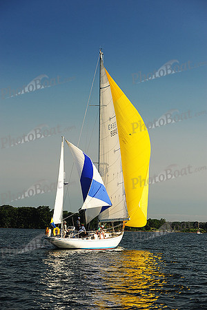 2015 Gov Cup D 231